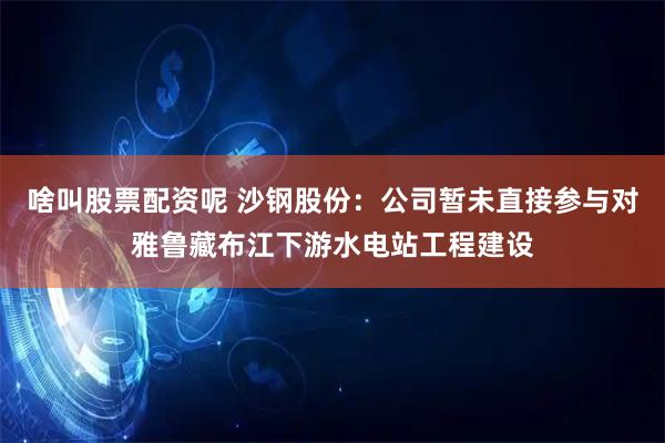 啥叫股票配资呢 沙钢股份：公司暂未直接参与对雅鲁藏布江下游水电站工程建设