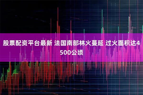 股票配资平台最新 法国南部林火蔓延 过火面积达4500公顷